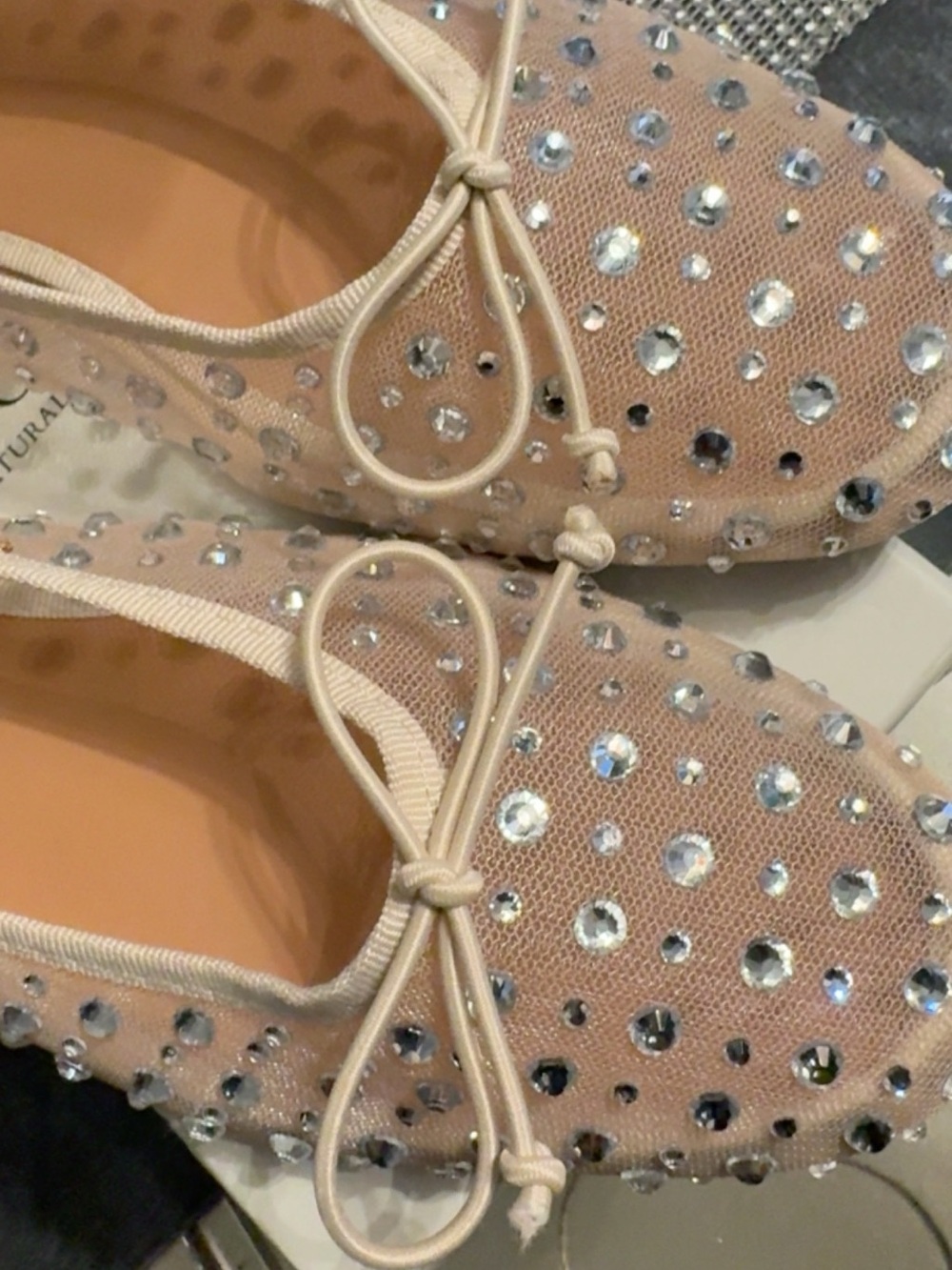 MOTF Blush Nude Crystal-Studded Mesh Ballet Flats with Bow - Picture 6 of 7